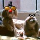 PIOLA Y MISTY